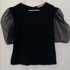 Organza Sleeve Top